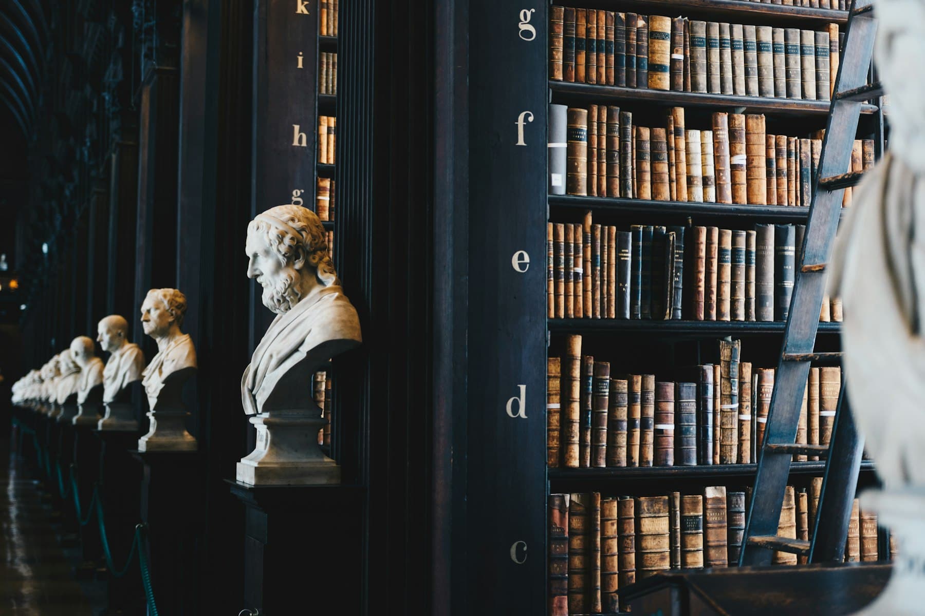 Tall shelves of bound volumes in a quiet library